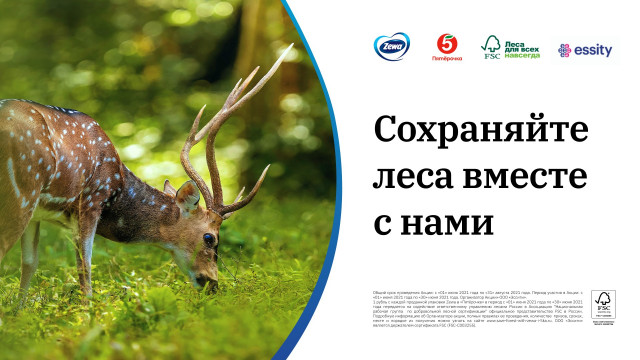 Пятёрочка, ZEWA И FSC России восстановят леса