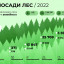 В России за год высадили больше миллиона деревьев