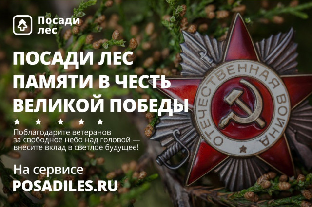 Россияне смогут посадить лес в честь Дня Победы