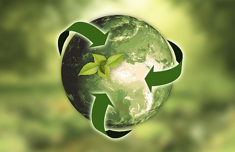Движение ЭКА запустило мастерскую по бизнес-проектированию для «зеленых» проектов