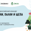 Россиянам рассказали, как организовать экологичную переработку новогодних ёлок