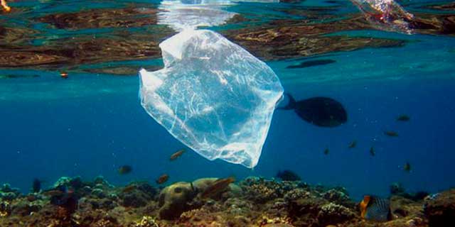 Запрет на одноразовый пластик в Австралии