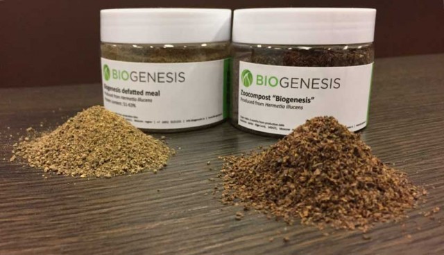 Компания Биогенезис рассказала о способе переработки органических отходов в кормовой белок