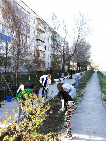 В Волгоградской области высадили 100 новых деревьев