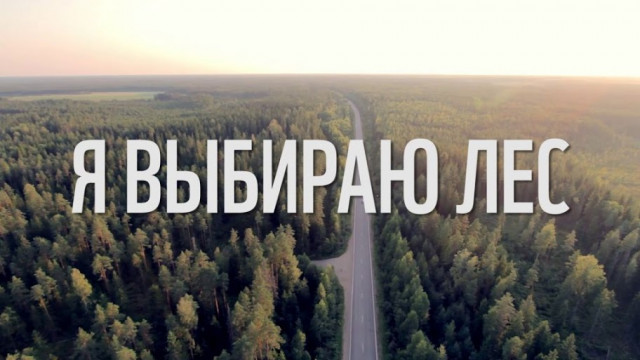 Вебинар о лесах России и “лесных” профессиях