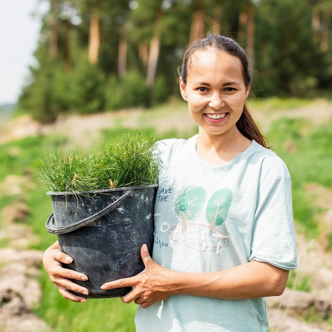 За весну российские волонтеры высадили 830 тысяч лесных деревьев