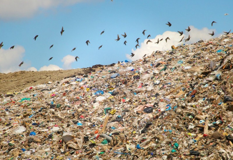 Вместе с другими видами мусора пластик создает крупные свалки