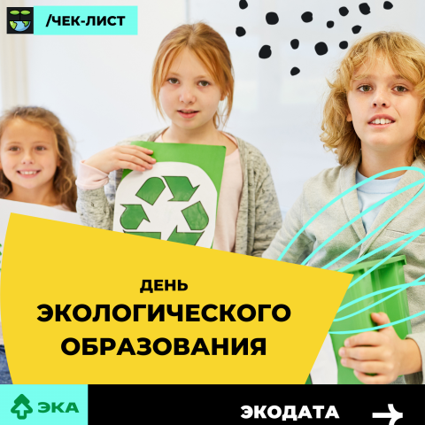 Как провести День экологического образования: чек-лист