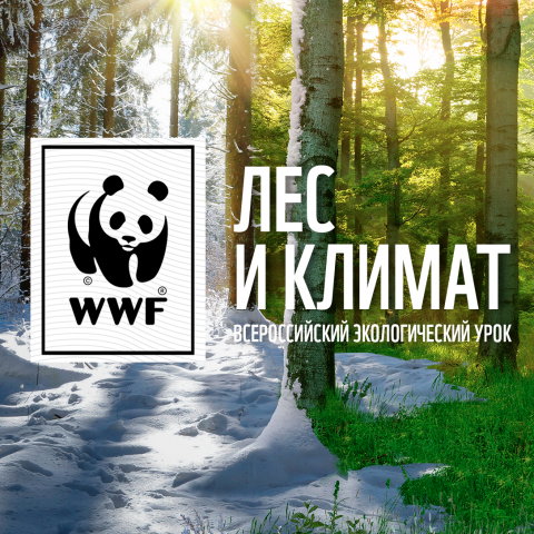 Учителей Краснодарского края приглашают провести интерактивный урок о лесе и климате