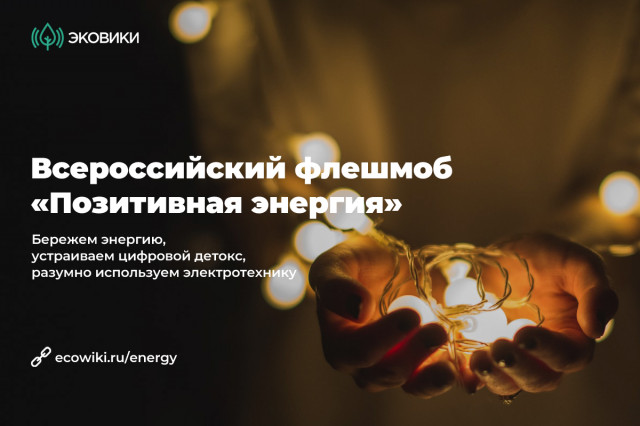 В Краснодарском крае стартовал новый онлайн-флешмоб «Позитивная энергия»