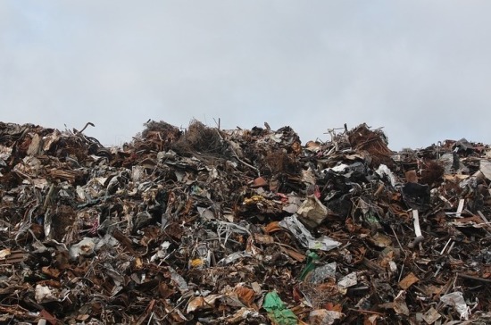 Штрафы за незаконную свалку мусора будут повышены
