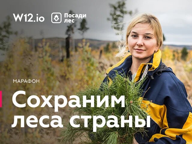 Всероссийский марафон «Сохраним леса страны» поможет восстановить сгоревшие леса в Сибири