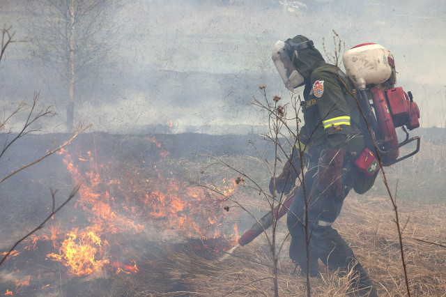 «Посади лес» открыл сбор средств для добровольных лесных пожарных